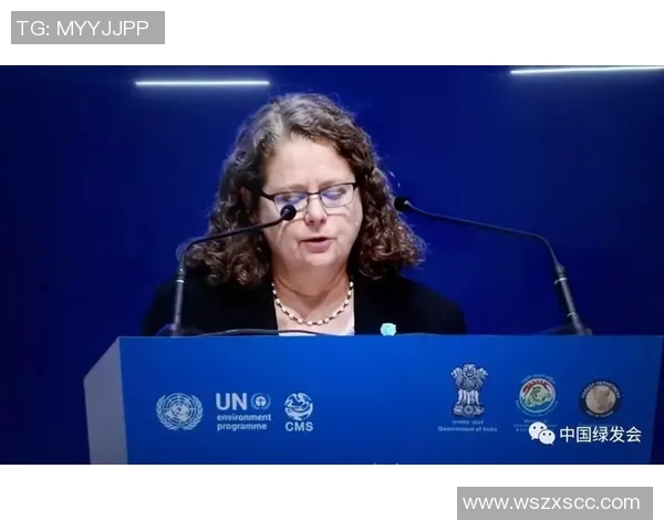 欧美足球明星的影响力与社会地位探讨及其对文化的深远影响