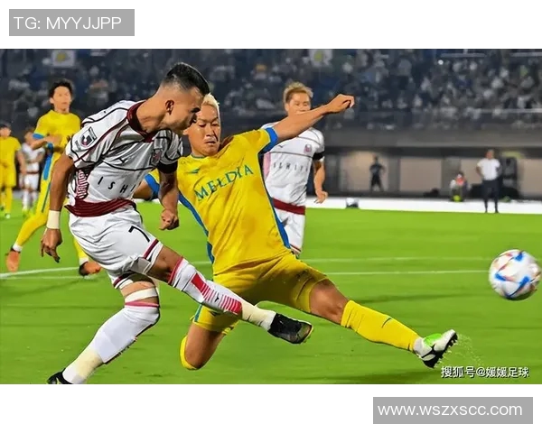 惠灵顿凤凰与中部海岸队员激战正酣精彩瞬间回顾与分析