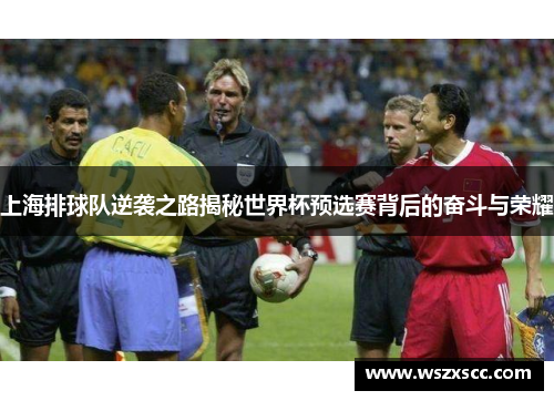上海排球队逆袭之路揭秘世界杯预选赛背后的奋斗与荣耀
