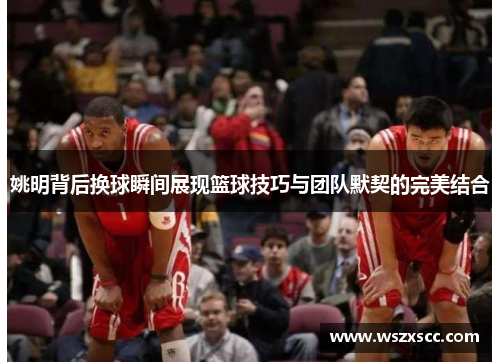 姚明背后换球瞬间展现篮球技巧与团队默契的完美结合