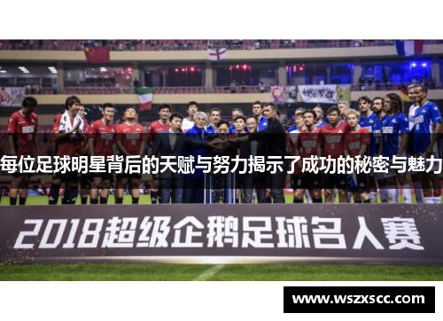 每位足球明星背后的天赋与努力揭示了成功的秘密与魅力