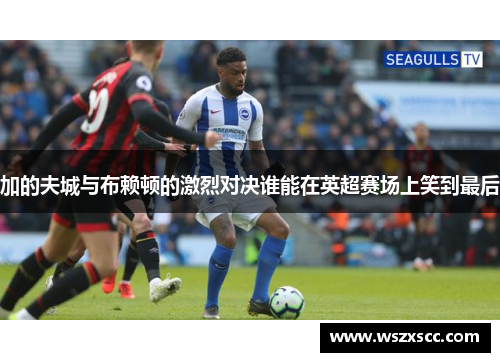 加的夫城与布赖顿的激烈对决谁能在英超赛场上笑到最后